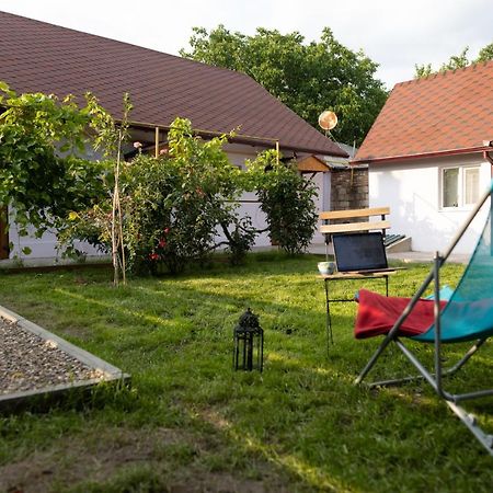 Nomad Sud Studios In Town Center Кахул Екстер'єр фото